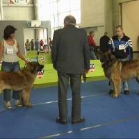 Salzburg Clubschau Mai 06 145 